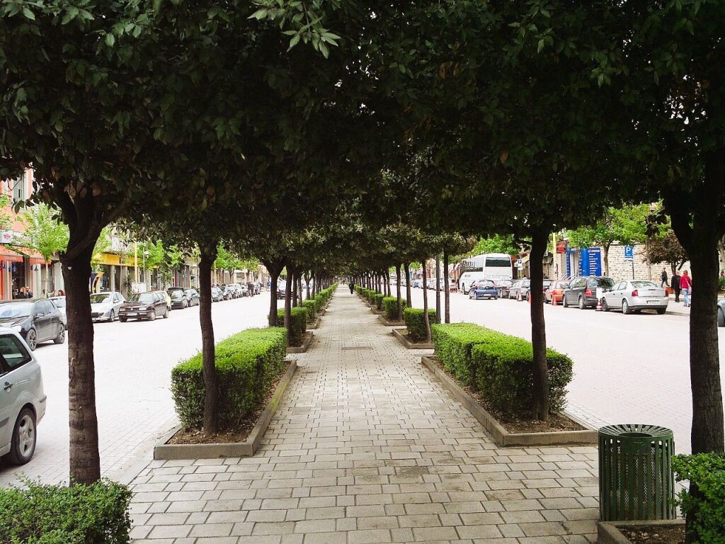 🏙️Dyqan Premium në Shitje te Bulevardi Zogu I, Tiranë📍