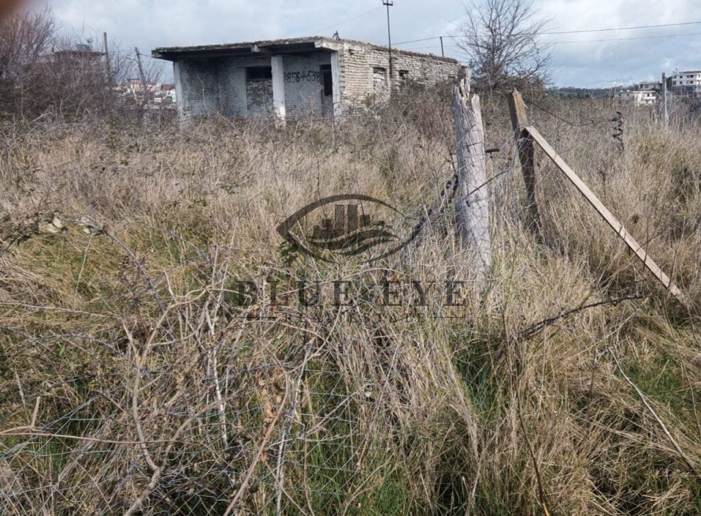 Shitet Truall me Pamje Deti