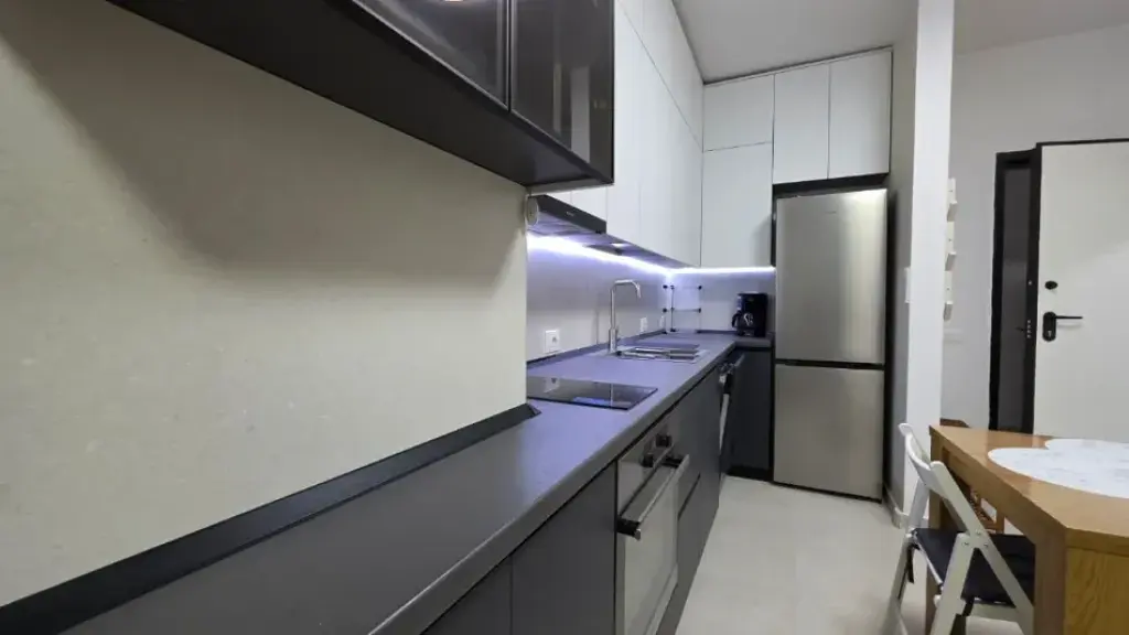 Apartment 1+1 for rent at 5 Maji near Oda Lounge