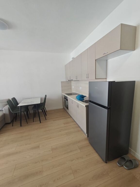 Apartment 1+1 for rent