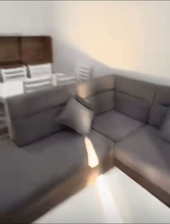 APARTMENT FOR RENT 1+1