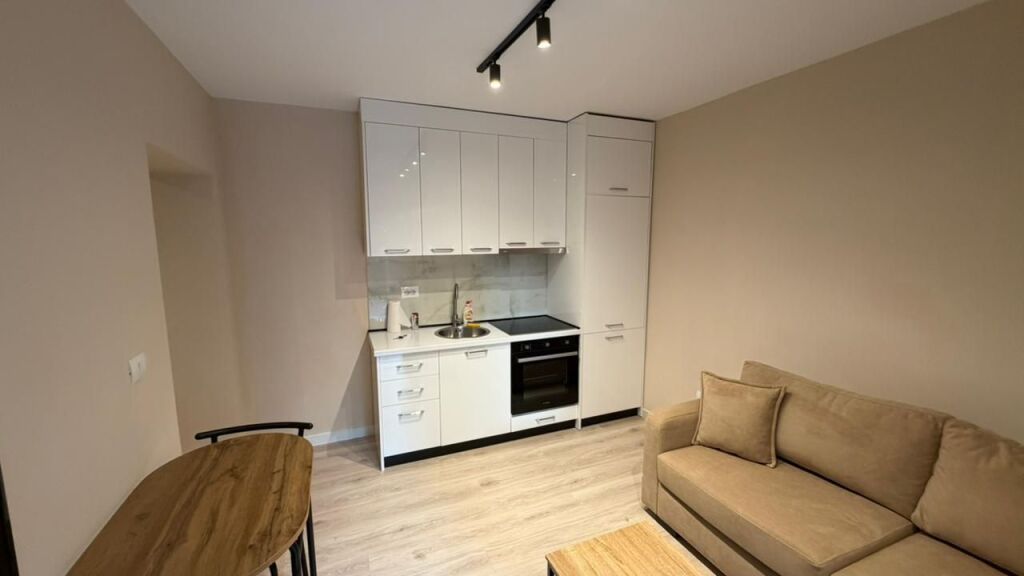 AFFITTO, APPARTAMENTO 1+1, OXHAKU, TIRANA(530581012-31)