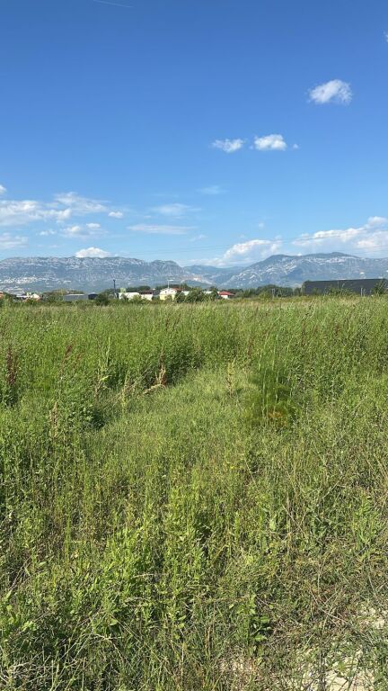 Land (field) for sale, Rinas
