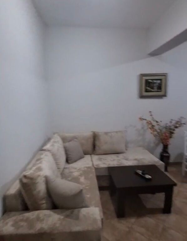 Apartment for rent 1+1 Misto Mame