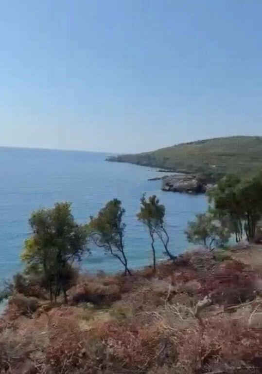 Shitet Tokë në Jalë, Vlorë