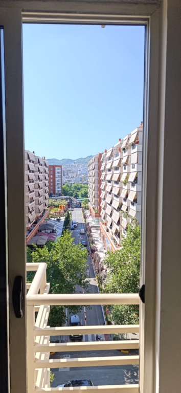 Delijorgji rents 1+1 apartment