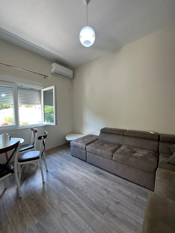 APARTMENT FOR RENT 1+1