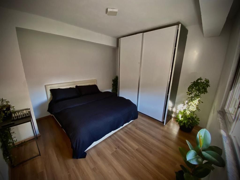 Apartment 1+1 for rent at the New Market !