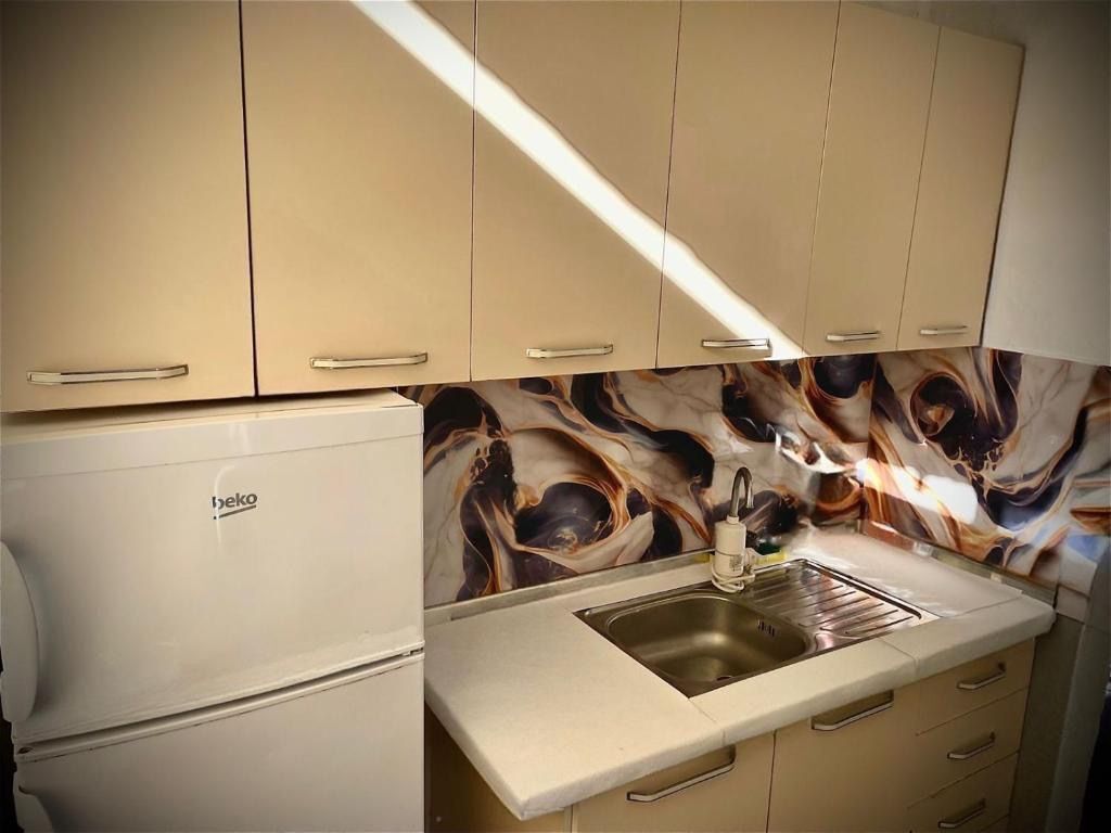 Apartment 1+1 for rent at the New Market !