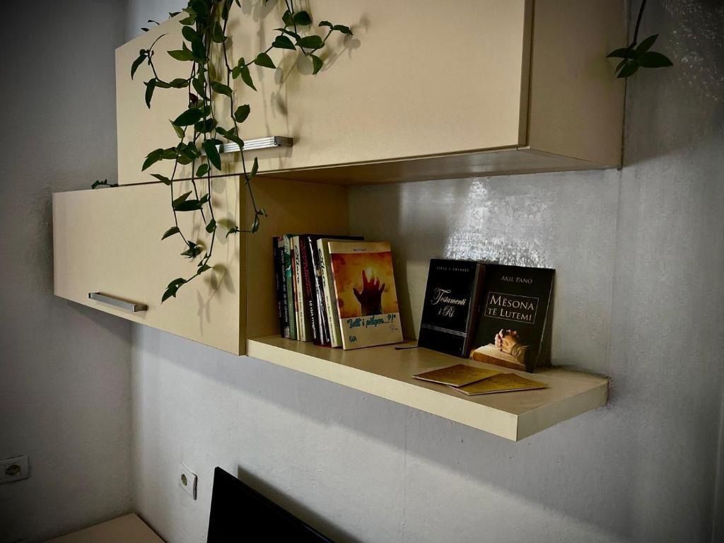 Apartment 1+1 for rent at the New Market !