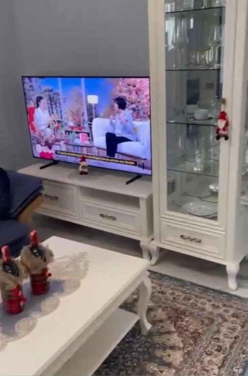 luxury 1+1 apartment for rent
