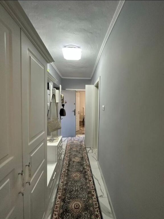 luxury 1+1 apartment for rent
