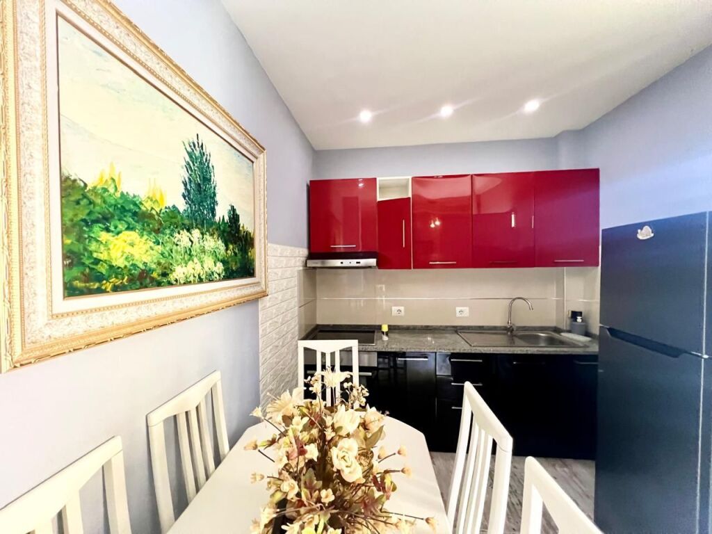 Apartament 1+1 me qera perballe Ekonomikut tek Ana Market