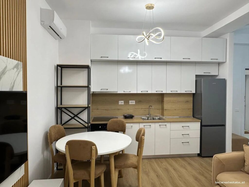 Appartamento In Affitto 1+1 A Ali Dem (ID B2101766) Tirana