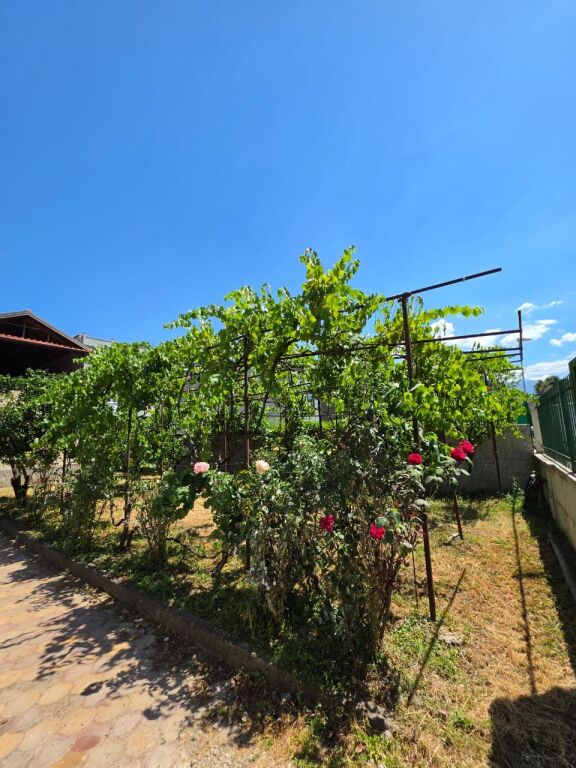 SHITET: Truall ( 500m²) + Shtëpi Private ( 341m² ) 📍 LAPRAKË - Pas Spitalit Ushtarak 200m ) Akses Direkt në Unazë &amp; Autostradë 🛣️ 350.000€ ✨️