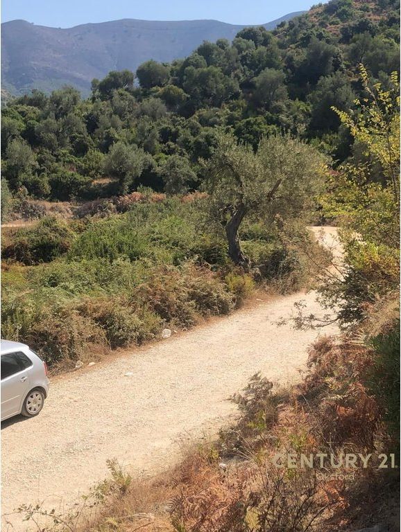 SHITET TOKË PRANË DETIT – 3000 m², BUNEC