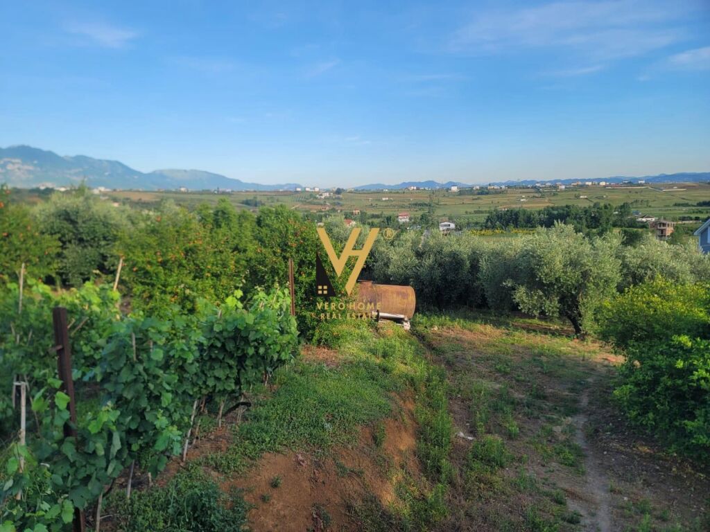 LAND 4,000 M2 FOR RENT IN TAPIZE 1,100 EURO