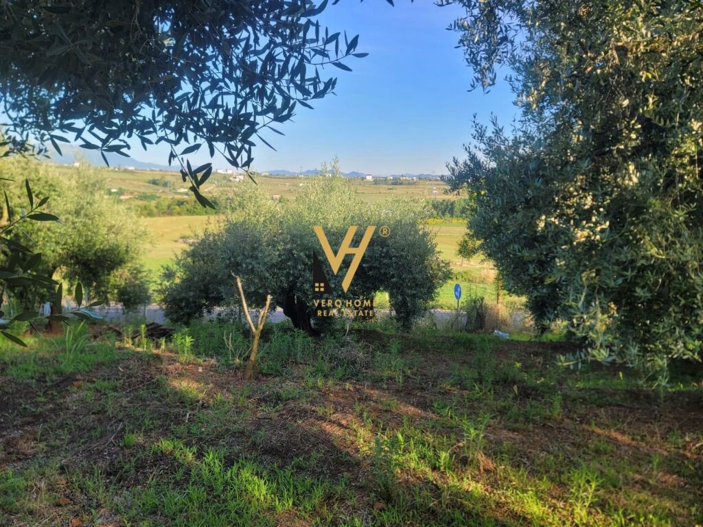 LAND 4,000 M2 FOR RENT IN TAPIZE 1,100 EURO