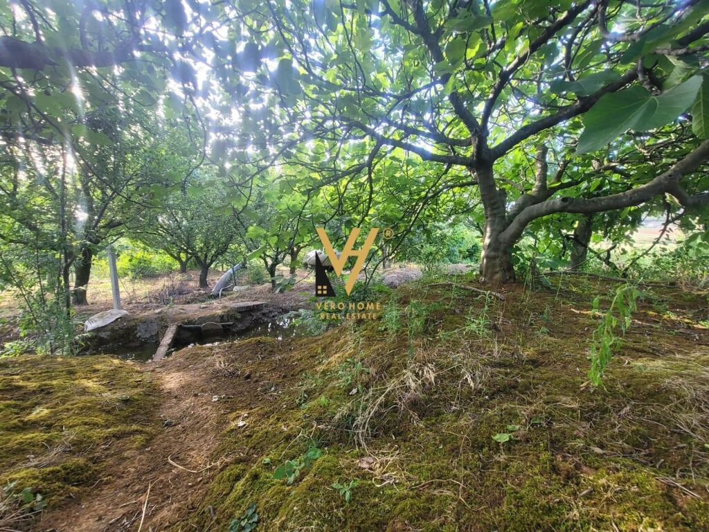LAND 4,000 M2 FOR RENT IN TAPIZE 1,100 EURO