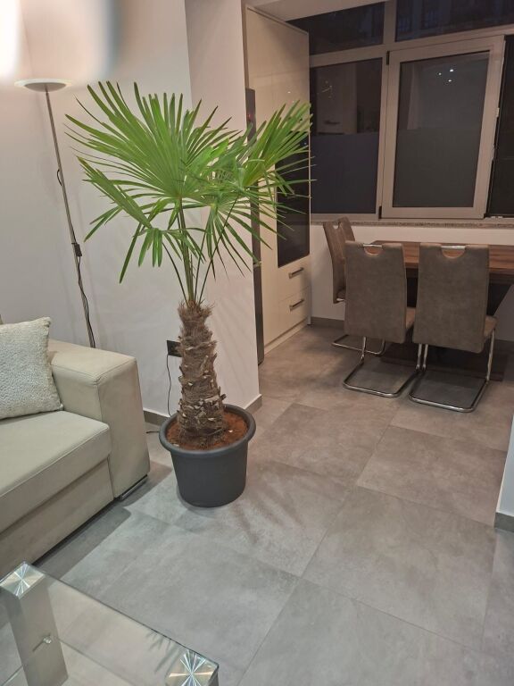 Affittasi 1+1 Comune di Parigi 750€