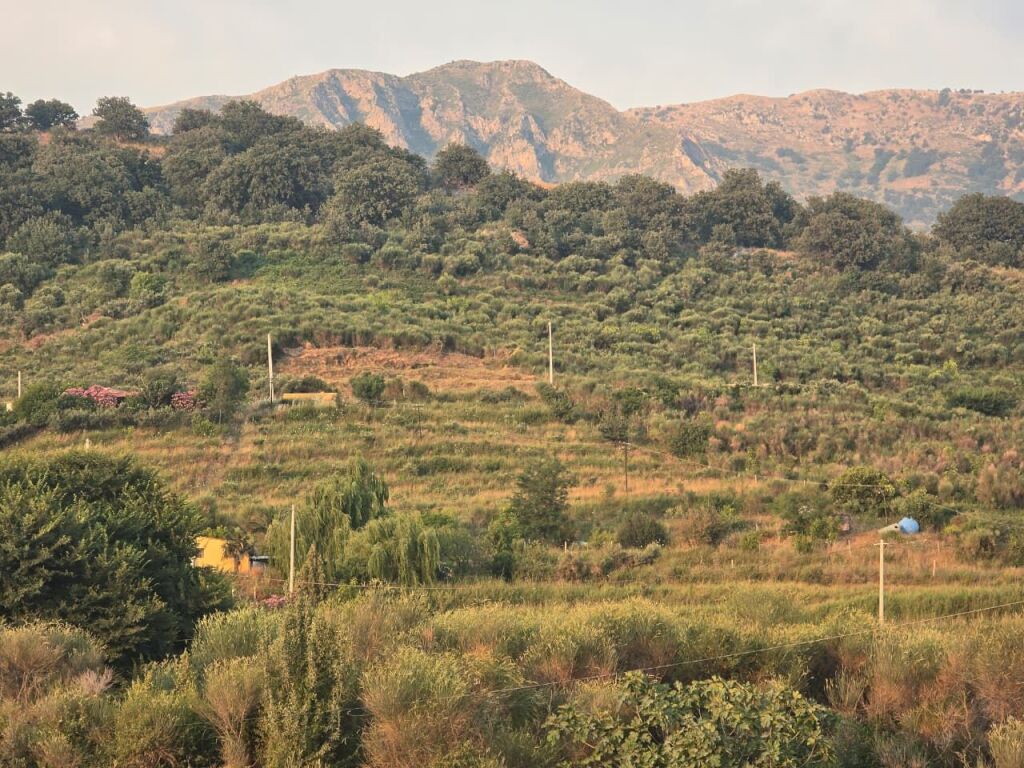 ARË NË SHITJE – RADHIMË, VLORË