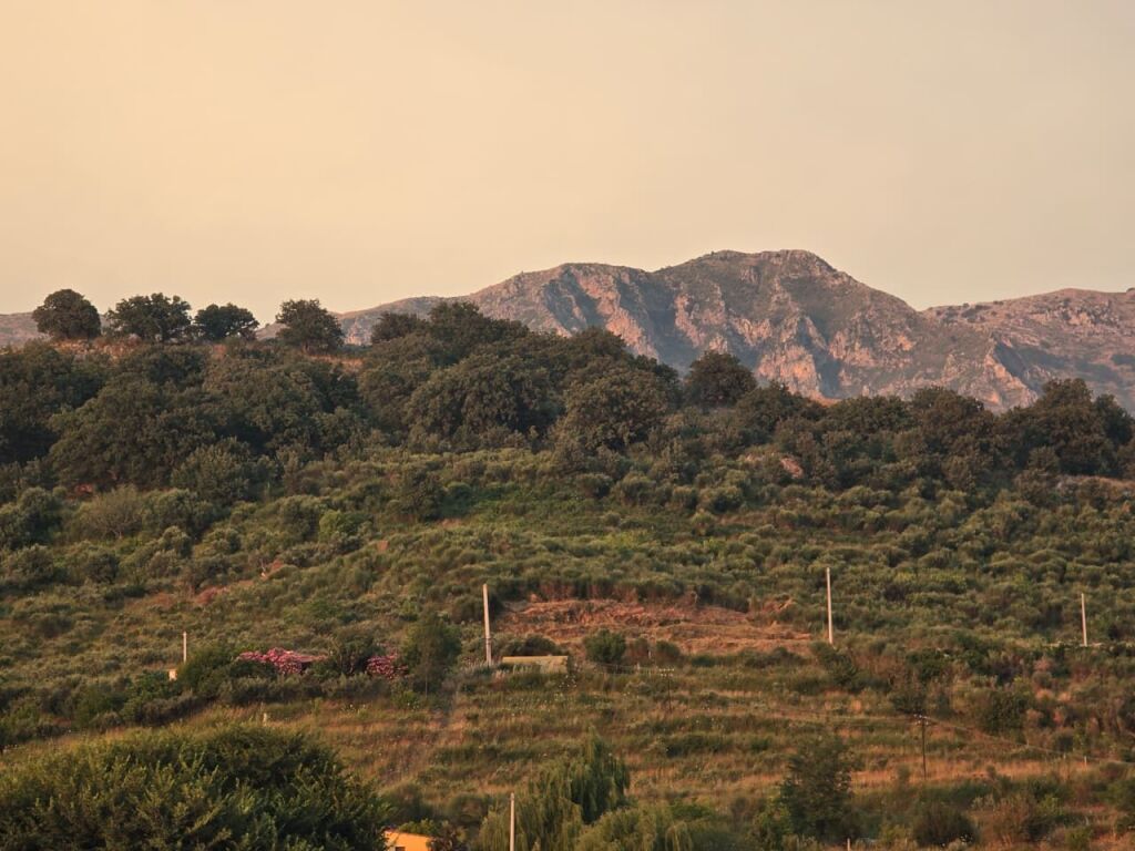 ARË NË SHITJE – RADHIMË, VLORË