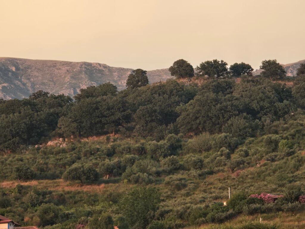 ARË NË SHITJE – RADHIMË, VLORË