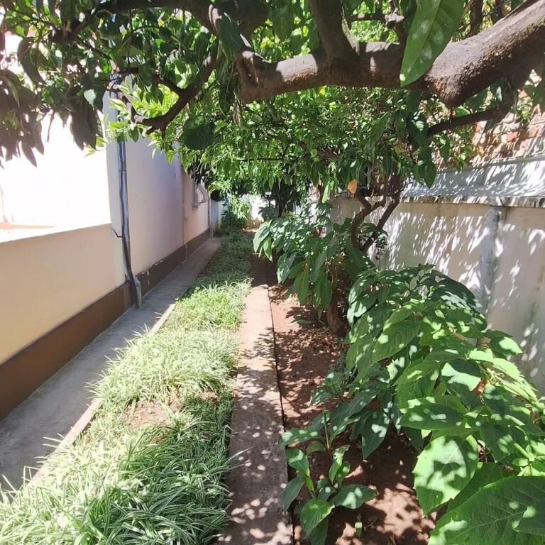 JEPET ME QERA KATI I PARE I NJE SHTEPIE PRIVATE - TEK HOTEL MONDIAL , 21- DHJETORI, TIRANE