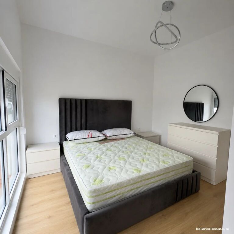Appartamento In Affitto 1+1 A Ali Dem (ID B2101779) Tirana