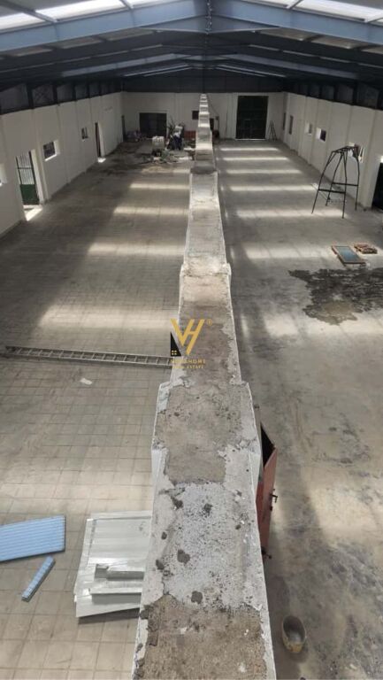 JEPET MAGAZINE 1.000 M2 ME QERA NE MISTO MAME 4.000 EURO