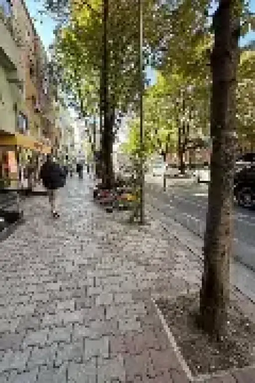 SHITET BIZNES / NJESI KOMERCIALE KAT 0, SHESHI WILLSON