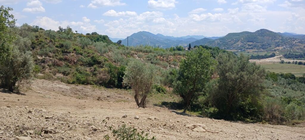 🏡 Shitet Tokë Ullishte – Picall, Tiranë