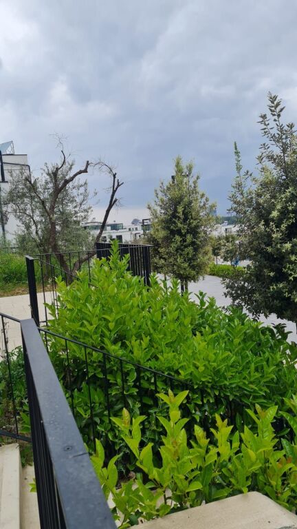 Jepet me qera vilë e bashkëngjitur tek "Liqeni Thatë"
