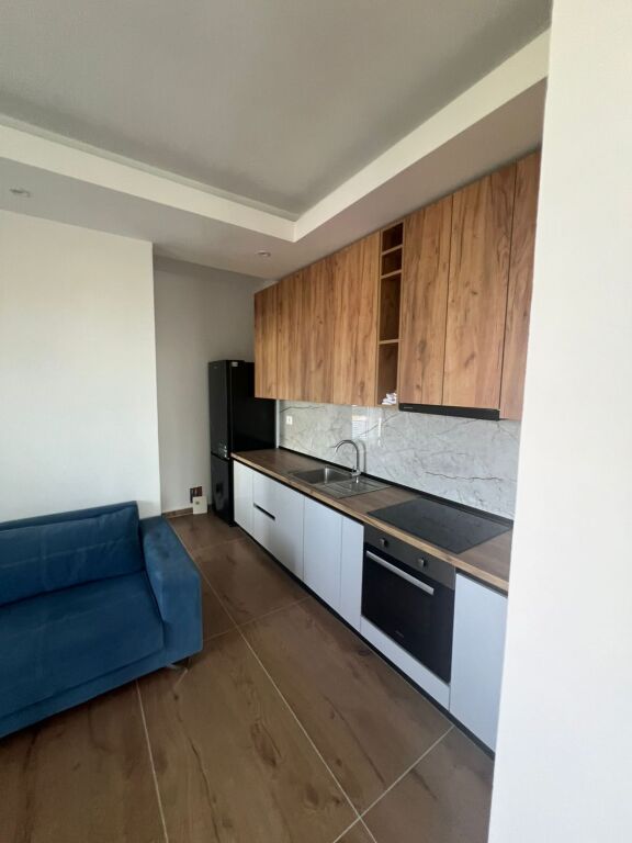 Private house for rent 1+1