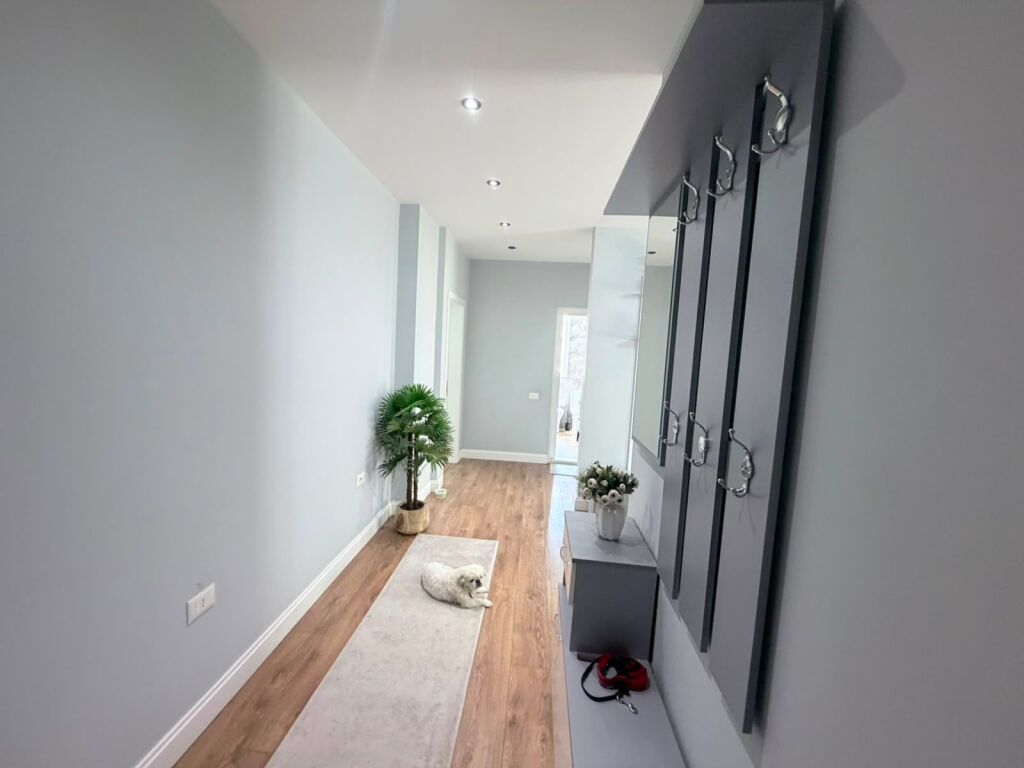 Apartament 2+1, Ish Parku!