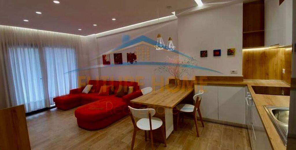Qira, Apartament 1+1, Rruga Frosina Plaku