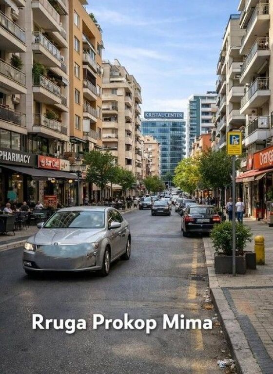 WE SELL COMMERCIAL PREMISES IN THE MUNICIPALITY OF PARIS