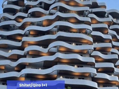 SHITET/QIRA 1+1, LION PARK