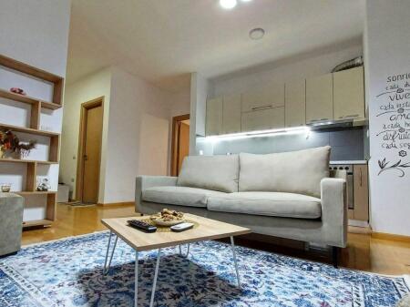 APARTMENT FOR RENT 2+1 700 EURO DIBRA STREET