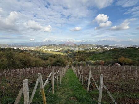 Villa for sale in Koder Vore!