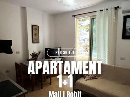 SUPER DEAL, Furnished 1+1 Apartment in Malin e Robit 45000 euros