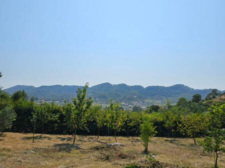 OFFER! Land for sale along with a wooden building with an area of 2000 m2 in Prush!