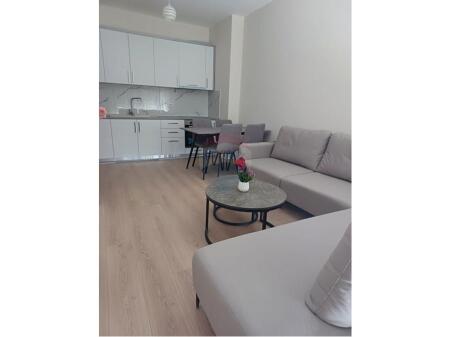 Apartament 1+1 me qira te "Oazis Residence"