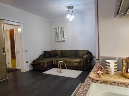 1+1, furnished, Paris municipality