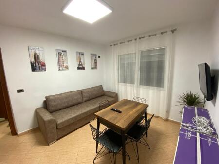 1+1 APARTMENT IN THE CENTER