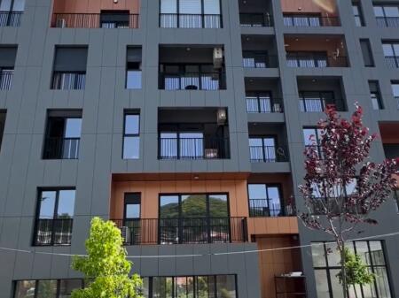 APARTMENT FOR RENT 1+1 SELITE