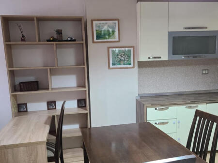 Apartment 1+1 for rent in Misto Mame!