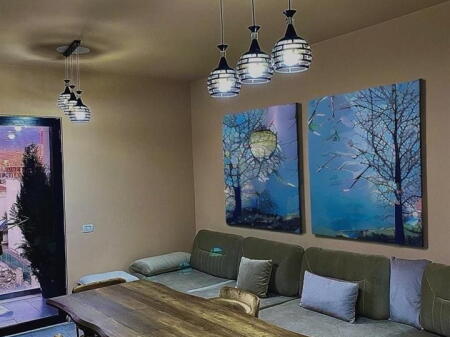 Apartment for Rent 1+1 at 5 Maji (ID B2101119) Tirana