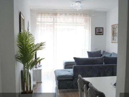 Apartment 1+1 for rent, CENTER opposite Toptani