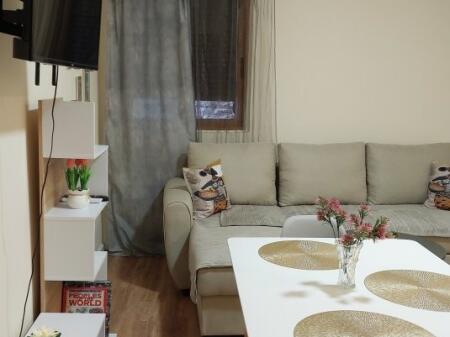 Apartment for Rent, Myslzm Shyri